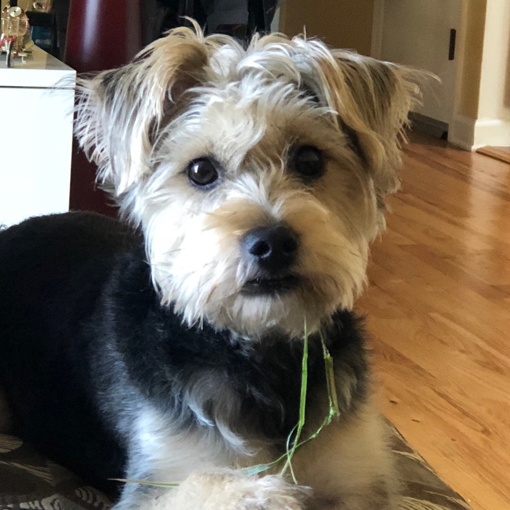 Meet your Posher, Nisha